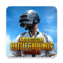 搜狗五笔(PUBG MOBILE)v3.5.0